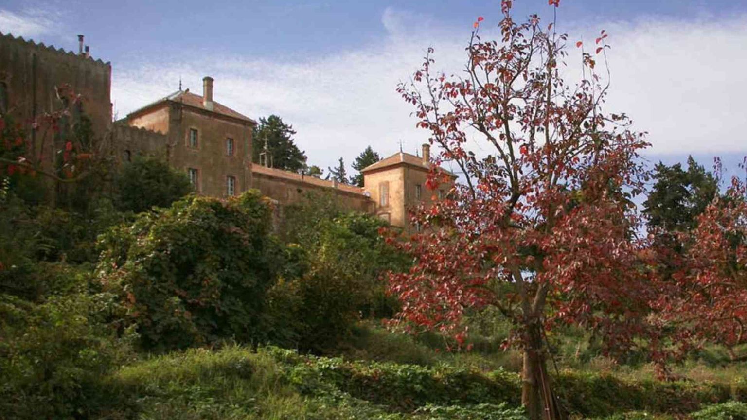 «Il nostro Natale a Tibhirine, alla scuola dei monaci trappisti martiri»