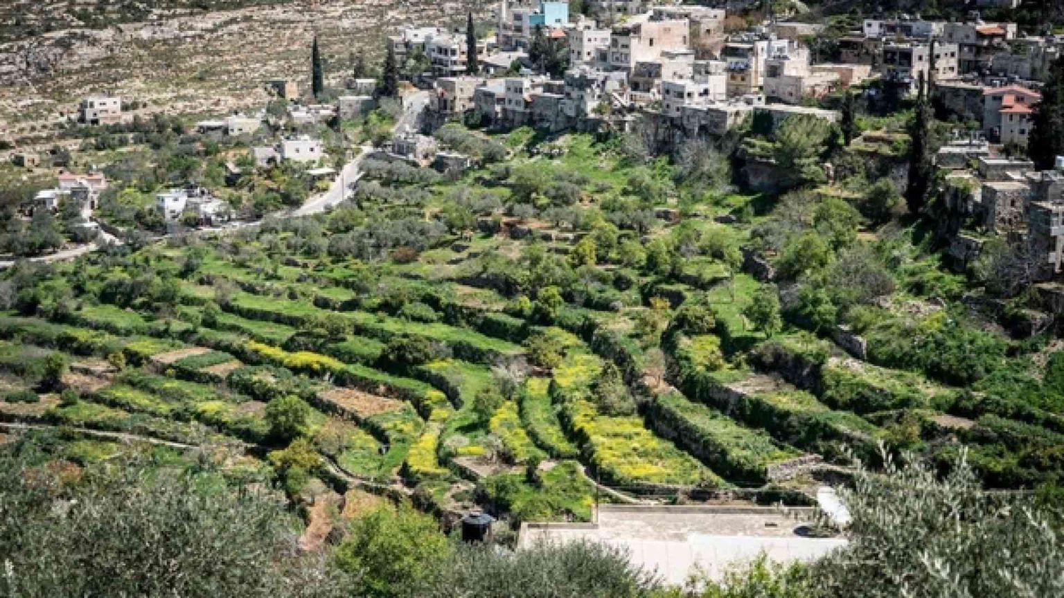 Palestina, la sfida di Battir il villaggio dell'«Intifada verde»