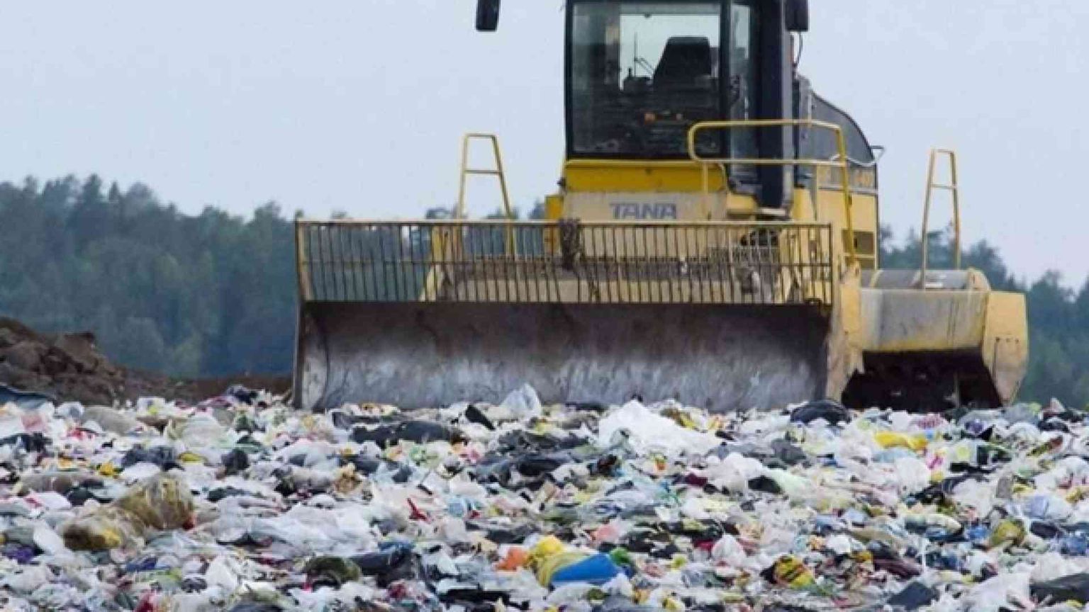 Sette vescovi e 400 sacerdoti per dire no alla Terra dei fuochi: basta veleni