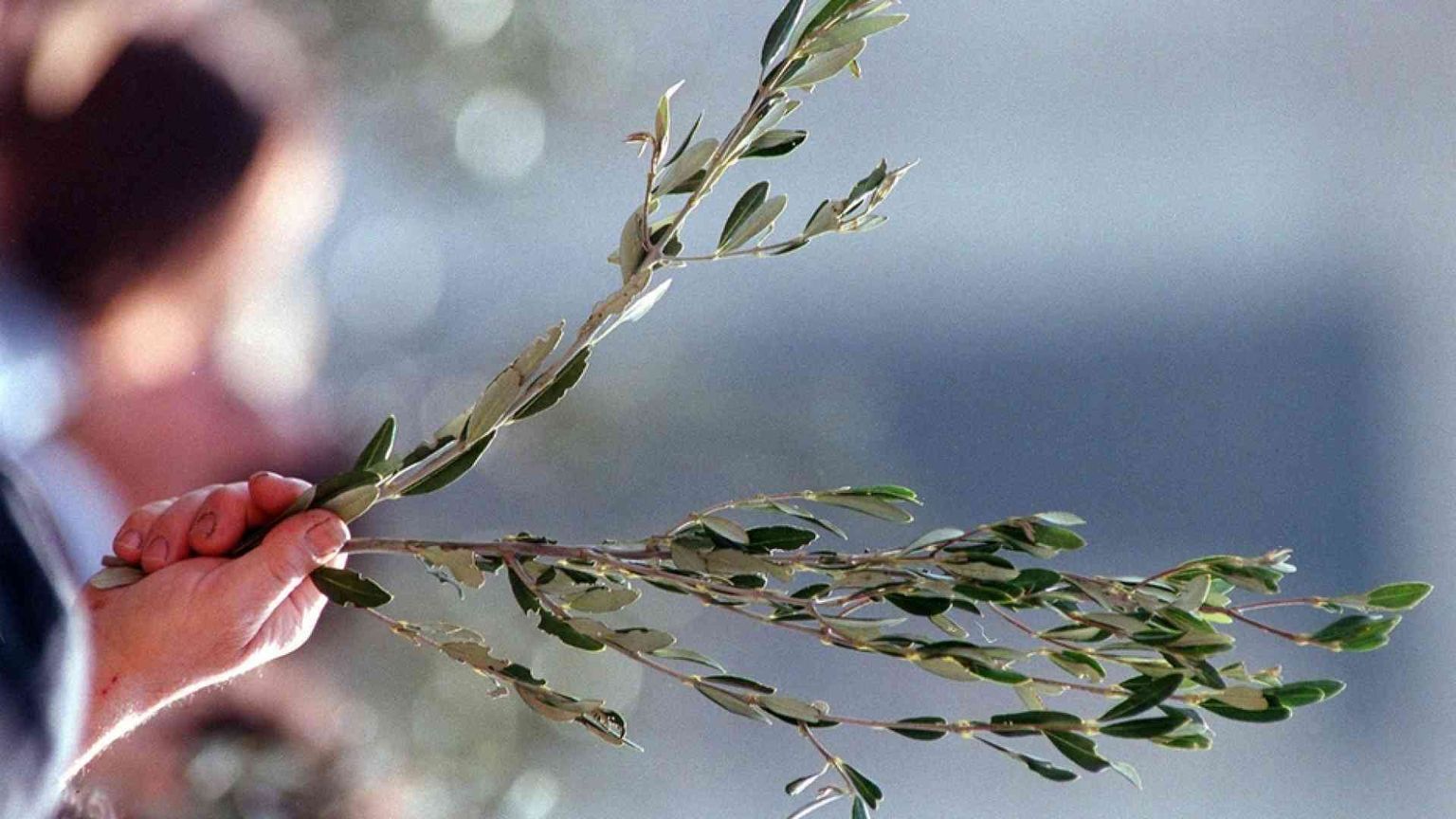 Barzanò, il Comune posa un ramoscello d'ulivo su ogni tomba