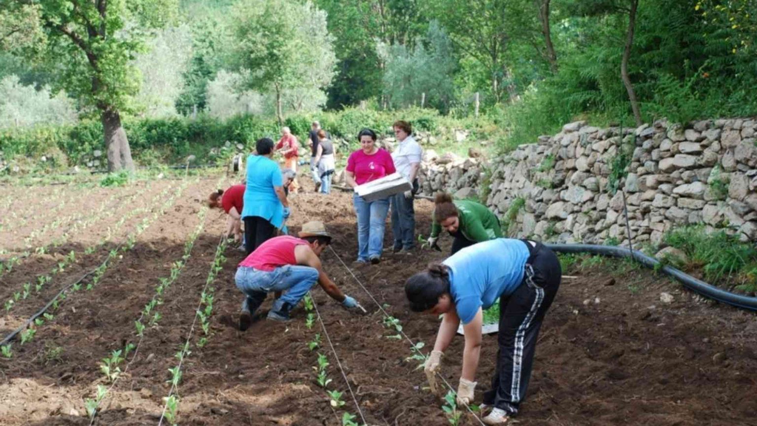 Coldiretti: lavoro nei campi, al via la piattaforma jobincountry