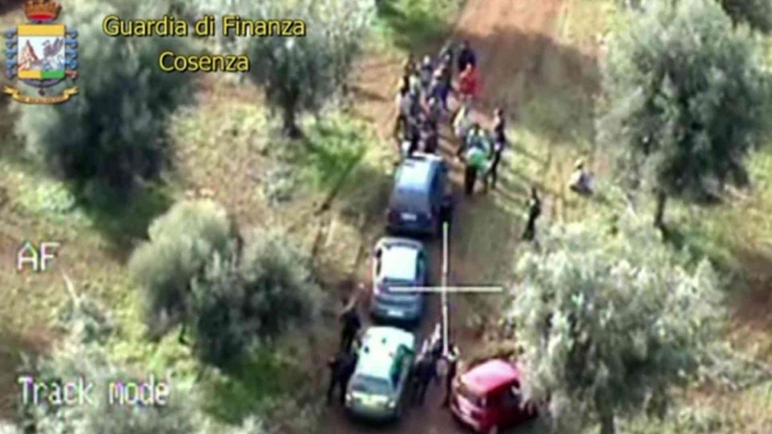 Papa Francesco: «La regolarizzazione dei braccianti stranieri è auspicabile»