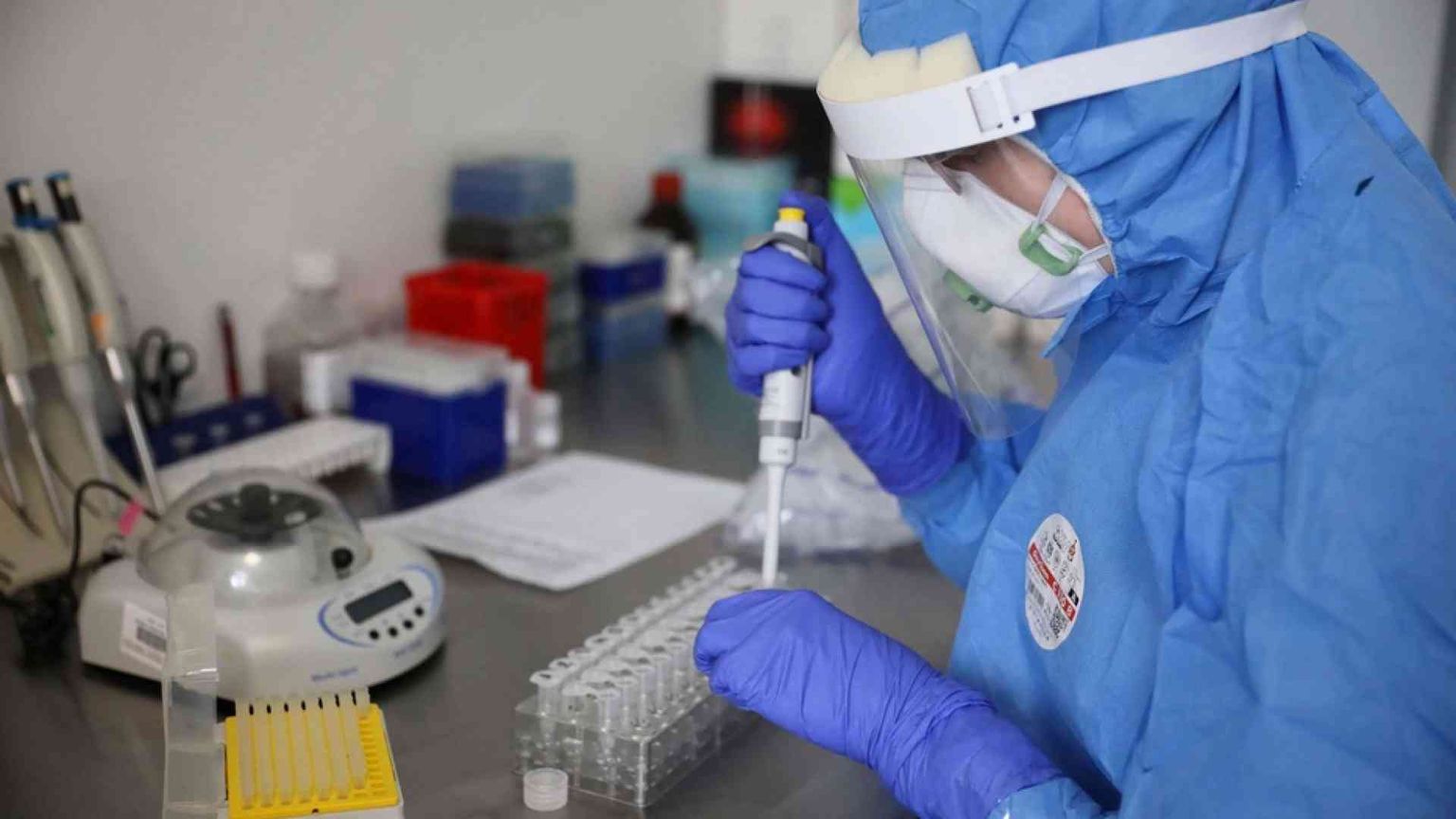 Il virologo americano Gallo: «Perché l'anti-polio può servire»