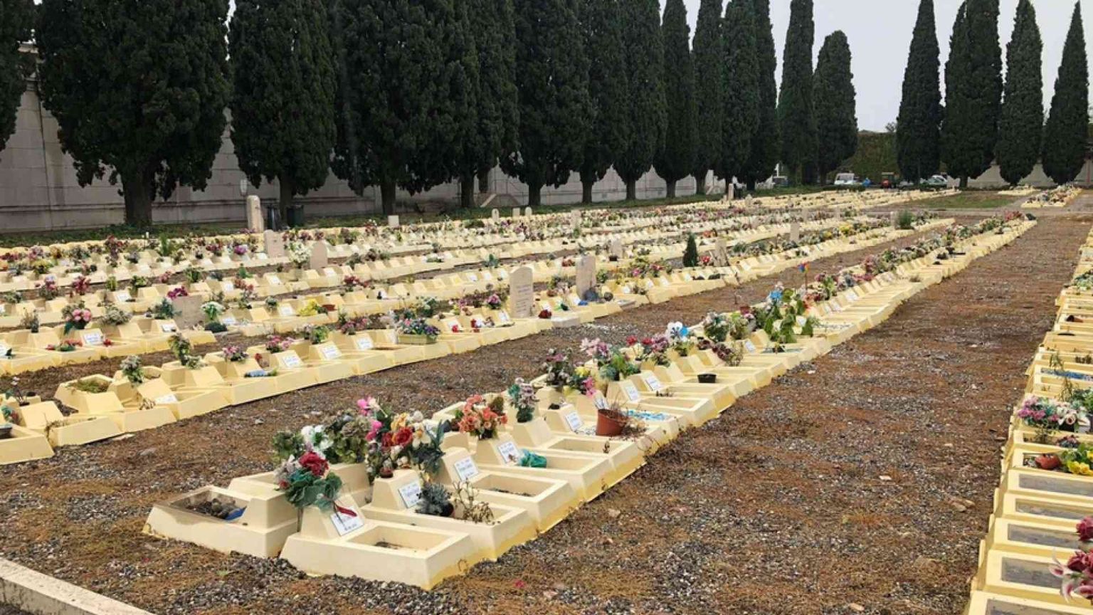 "Sepolture di feti non anonime colpa del Movimento per la Vita". Notizia falsa