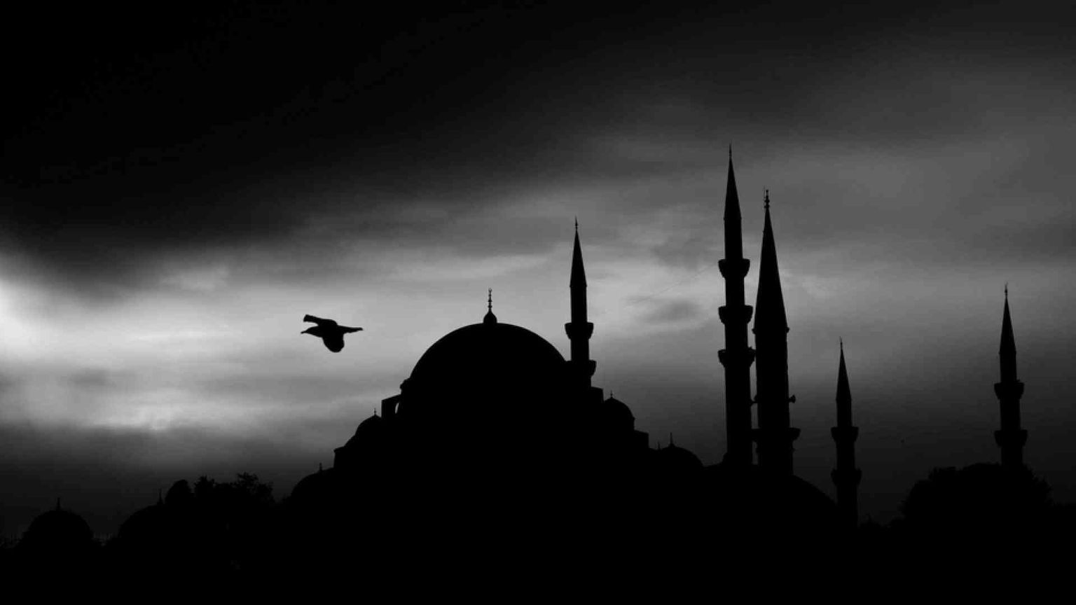 Le radici della crisi dell'islam tra jihadismo e islamofobia