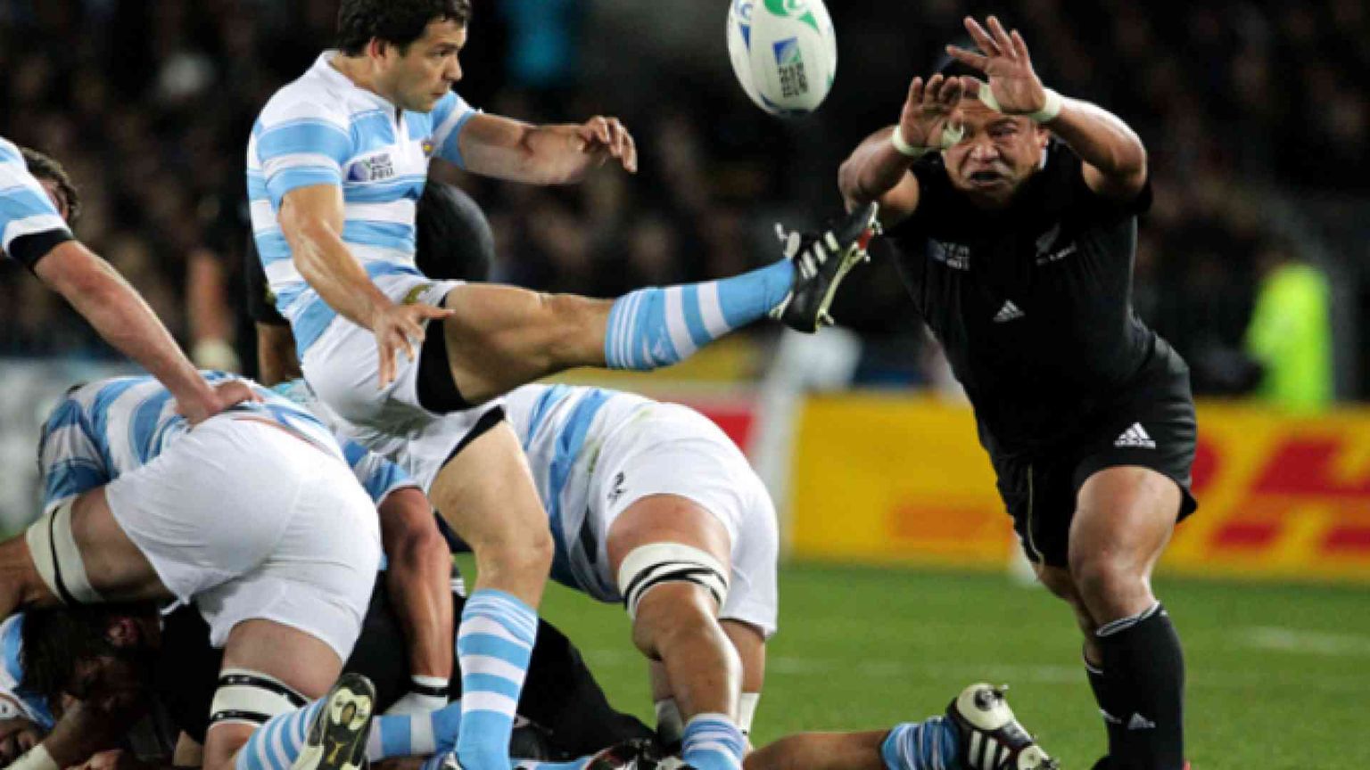 Le macchie dei Pumas: i trionfi e le ombre dell'Argentina del rugby