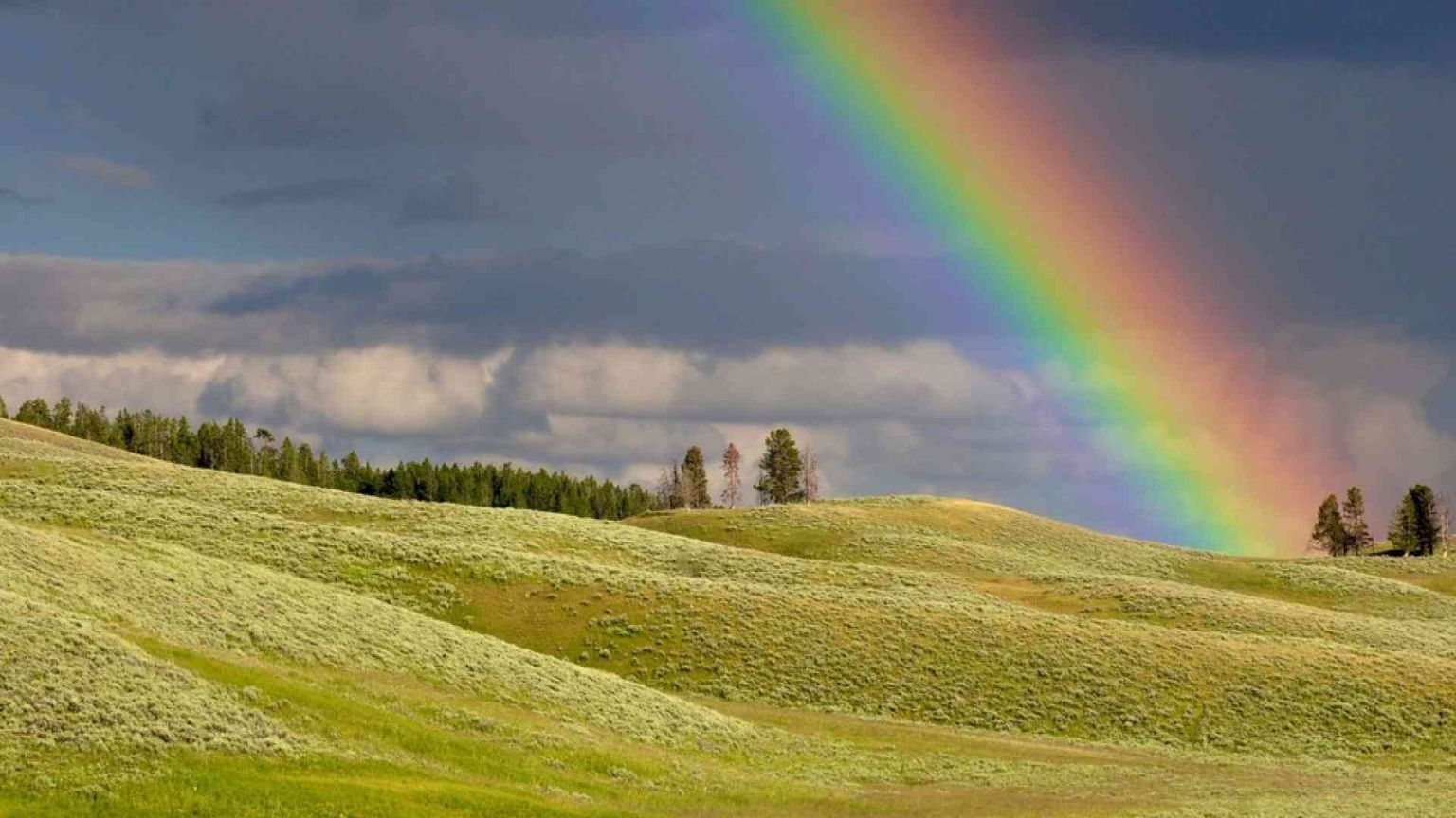 Se l'arcobaleno insegna che cosa sia la presenza