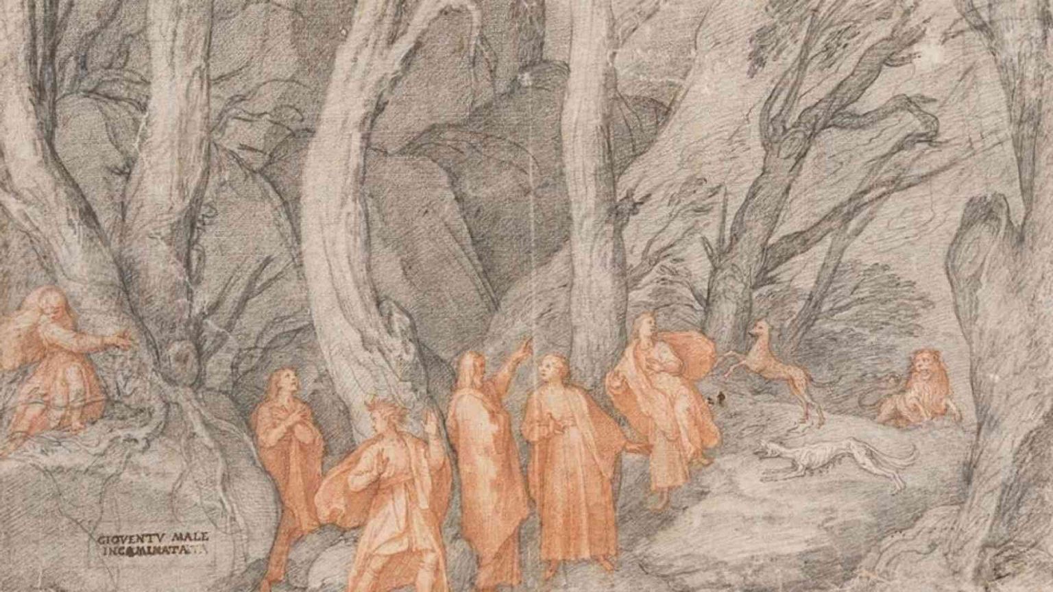 Ma la selva oscura è la fine del tunnel e l'inizio della luce