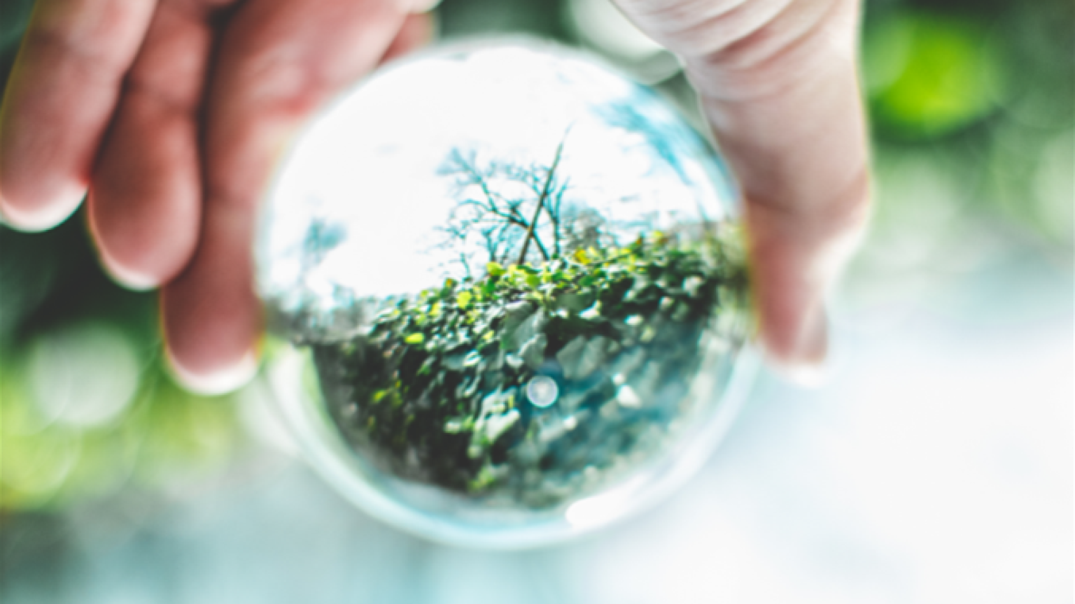 Tre su dieci sono di difficile reperimento