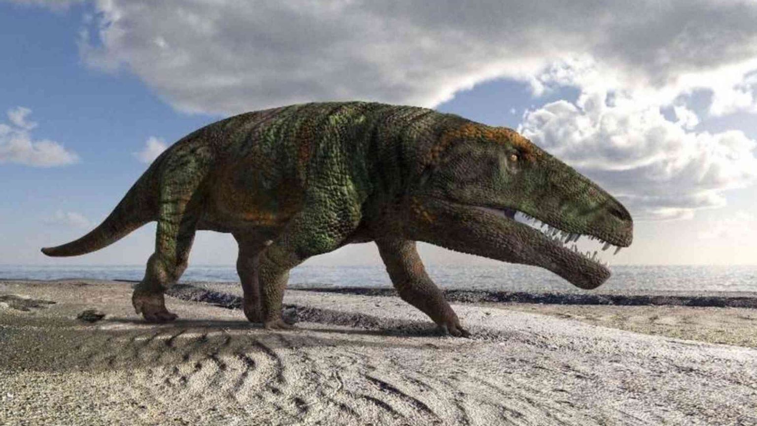 Trovate sulle Alpi cuneesi le orme di un nuovo "coccodrillo" preistorico