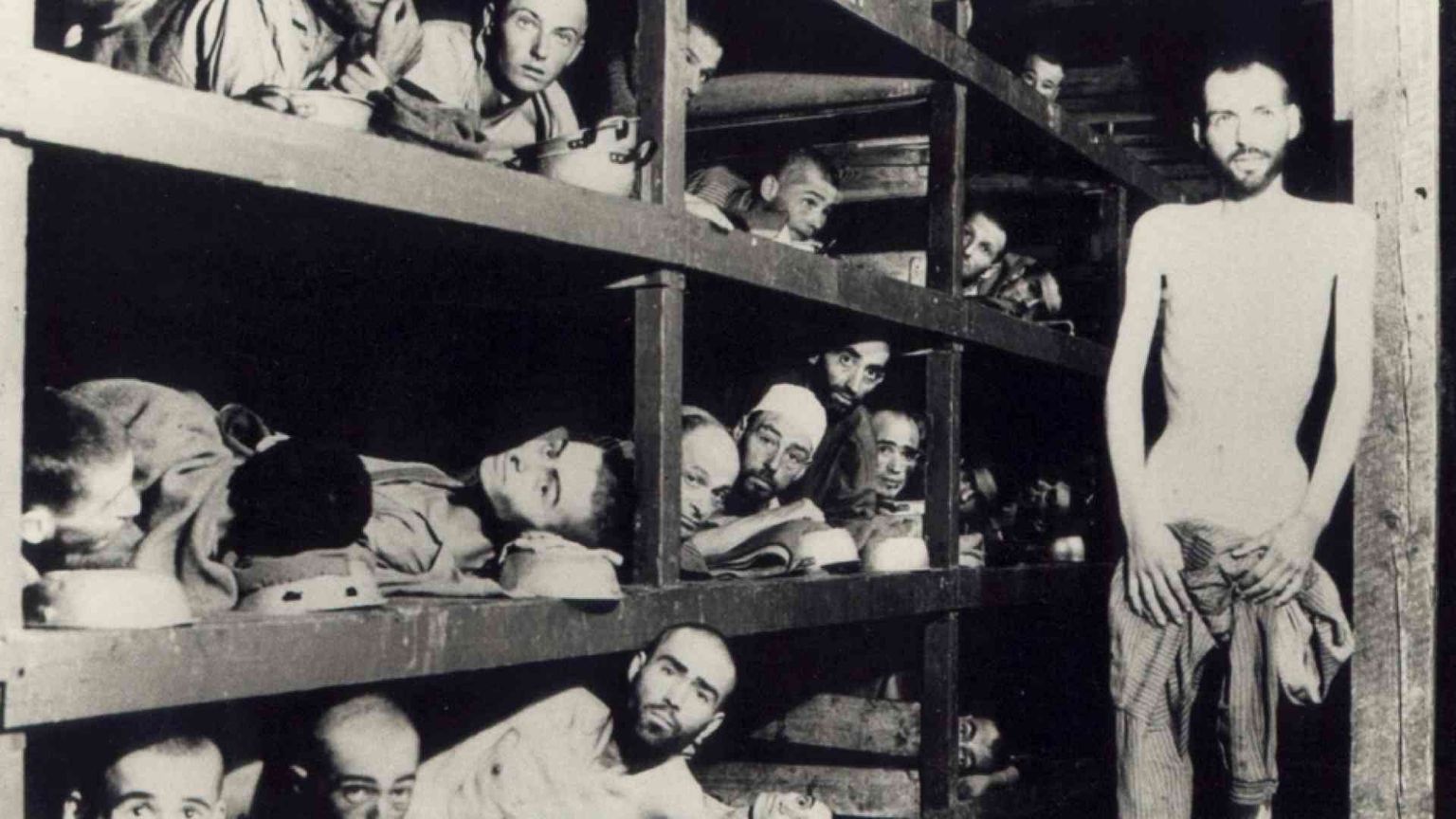 Vive nella letteratura la memoria della Shoah