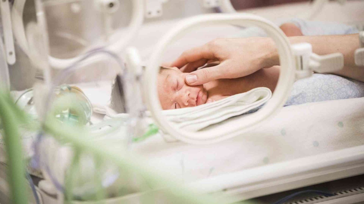 Piccoli piccoli, ma non si arrendono