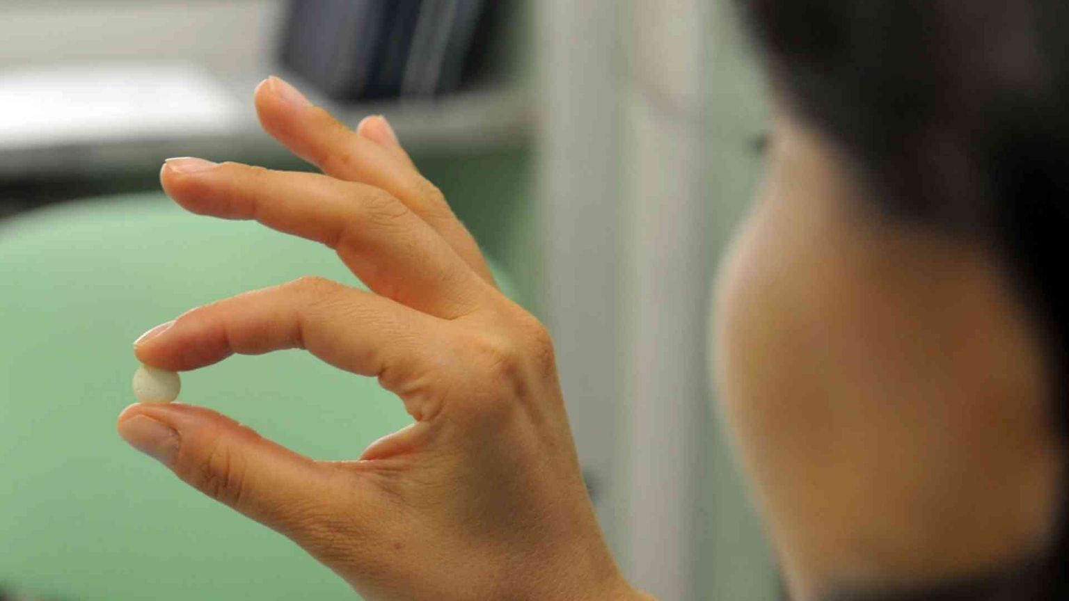 Roma, il caso del liceo: prima la legge