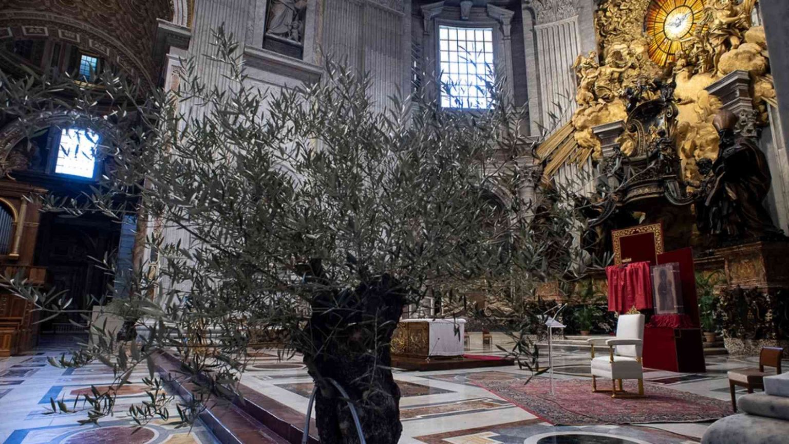 Le Messe in diretta tv e social nella Domenica delle Palme