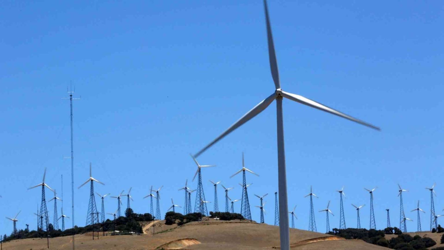 Le rinnovabili sono cresciute anche nell'anno del Covid