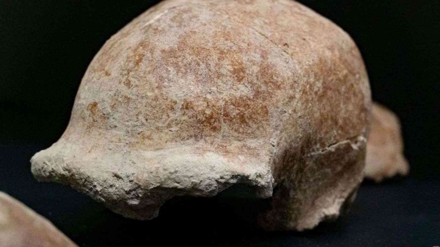 Ritrovati al Circeo reperti fossili di nove uomini di Neanderthal