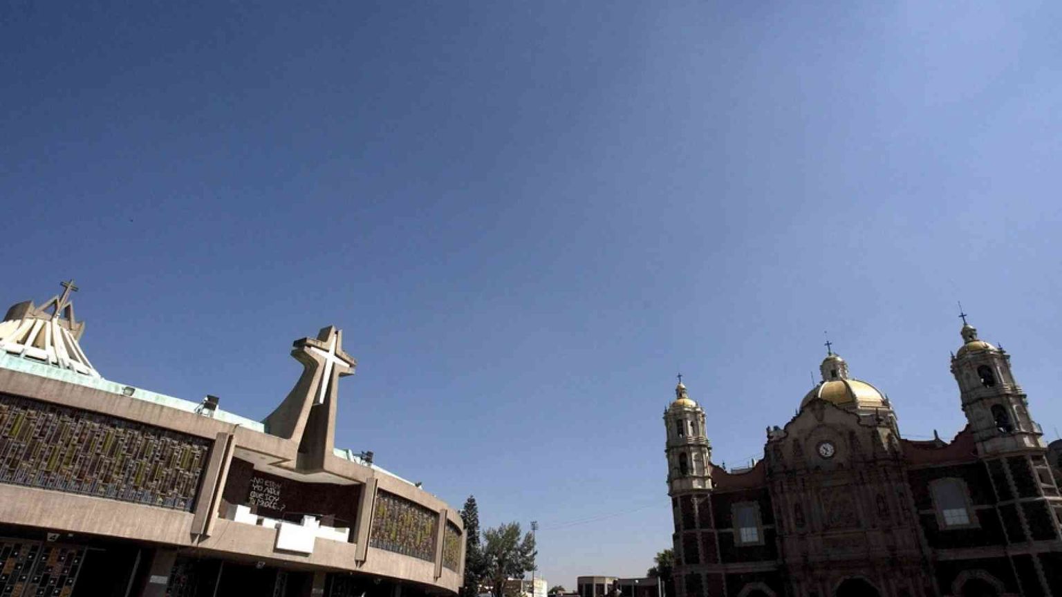 Vergine di Guadalupe, cuore mariano d'America