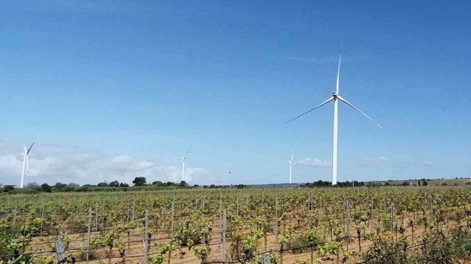 Lo sviluppo di rinnovabili in Italia si è fermato