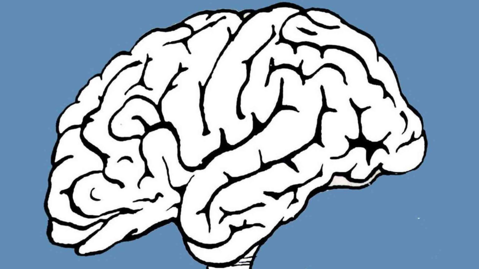 Le neuroscienze cambieranno tutto?