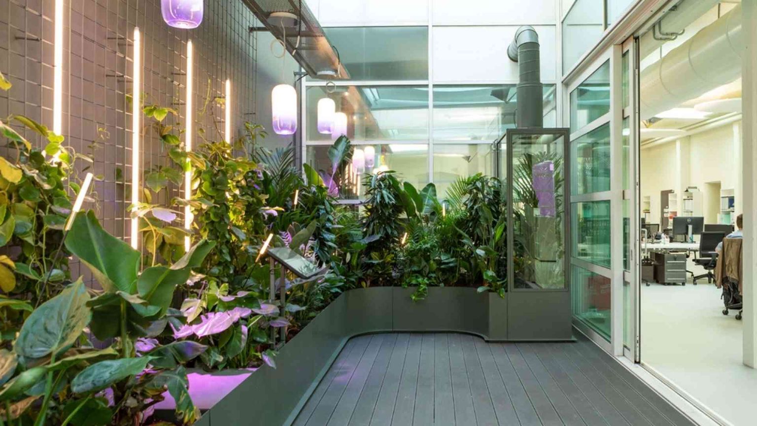 Ecco la Fabbrica dell'Aria (pulita) per farci respirare con le piante