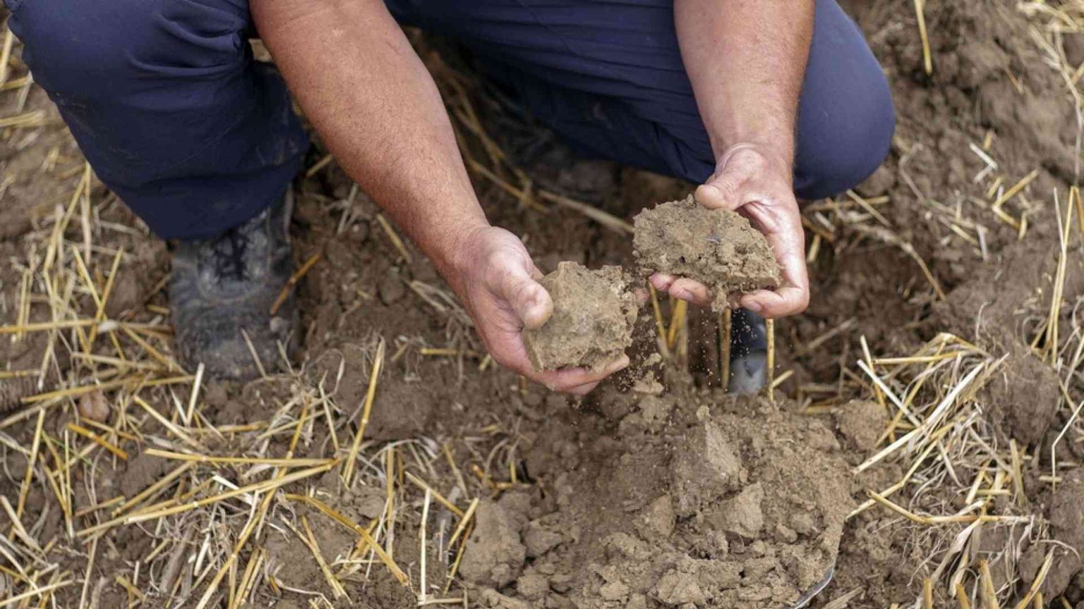 Pre-summit Onu sul cibo, le critiche delle Ong