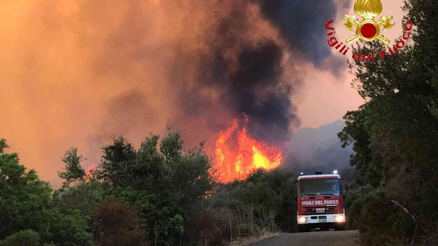 Imparando a salvare i boschi salviamo noi stessi