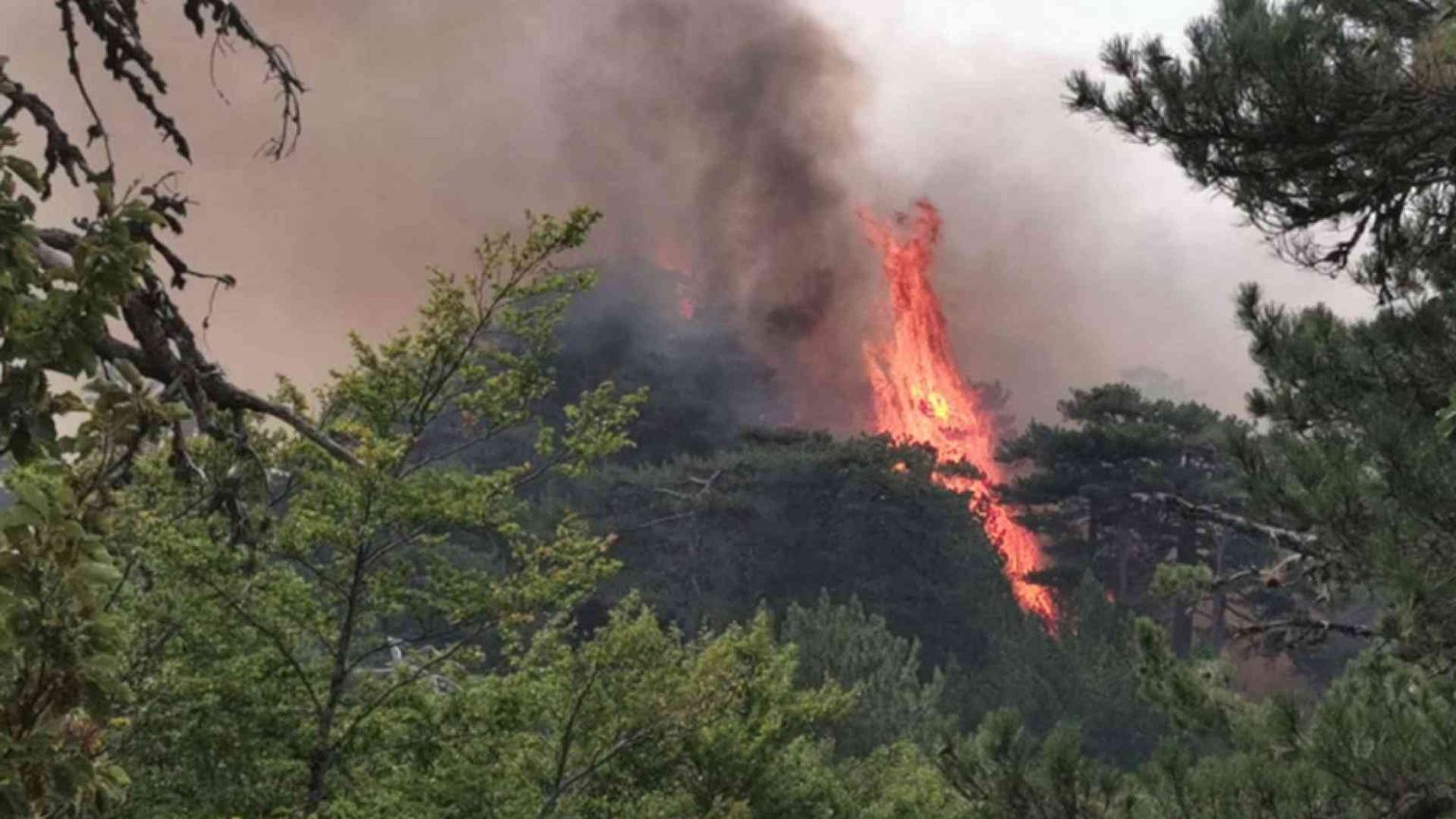Vent’anni fa gli incendi erano crollati del 90%, il modello dimenticato
