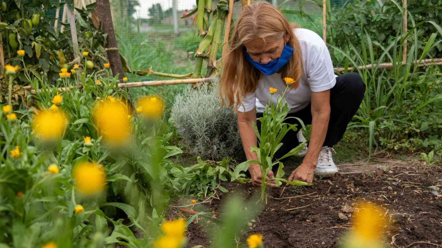 Rosario, la "capitale" dei disoccupati rinata con gli orti urbani