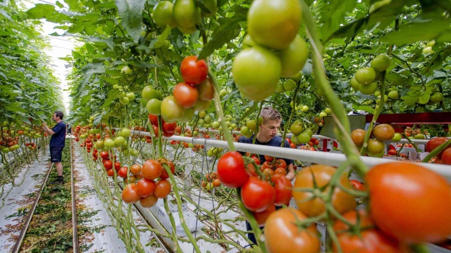 Produzione a chilometro zero non significa ritorno al passato