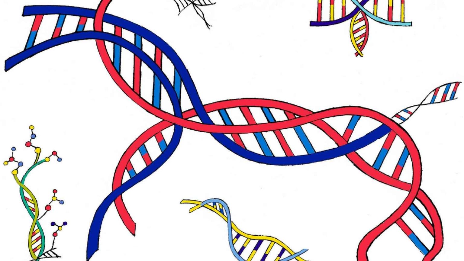 La scienza come la poesia. E anche la fisica è «bella»