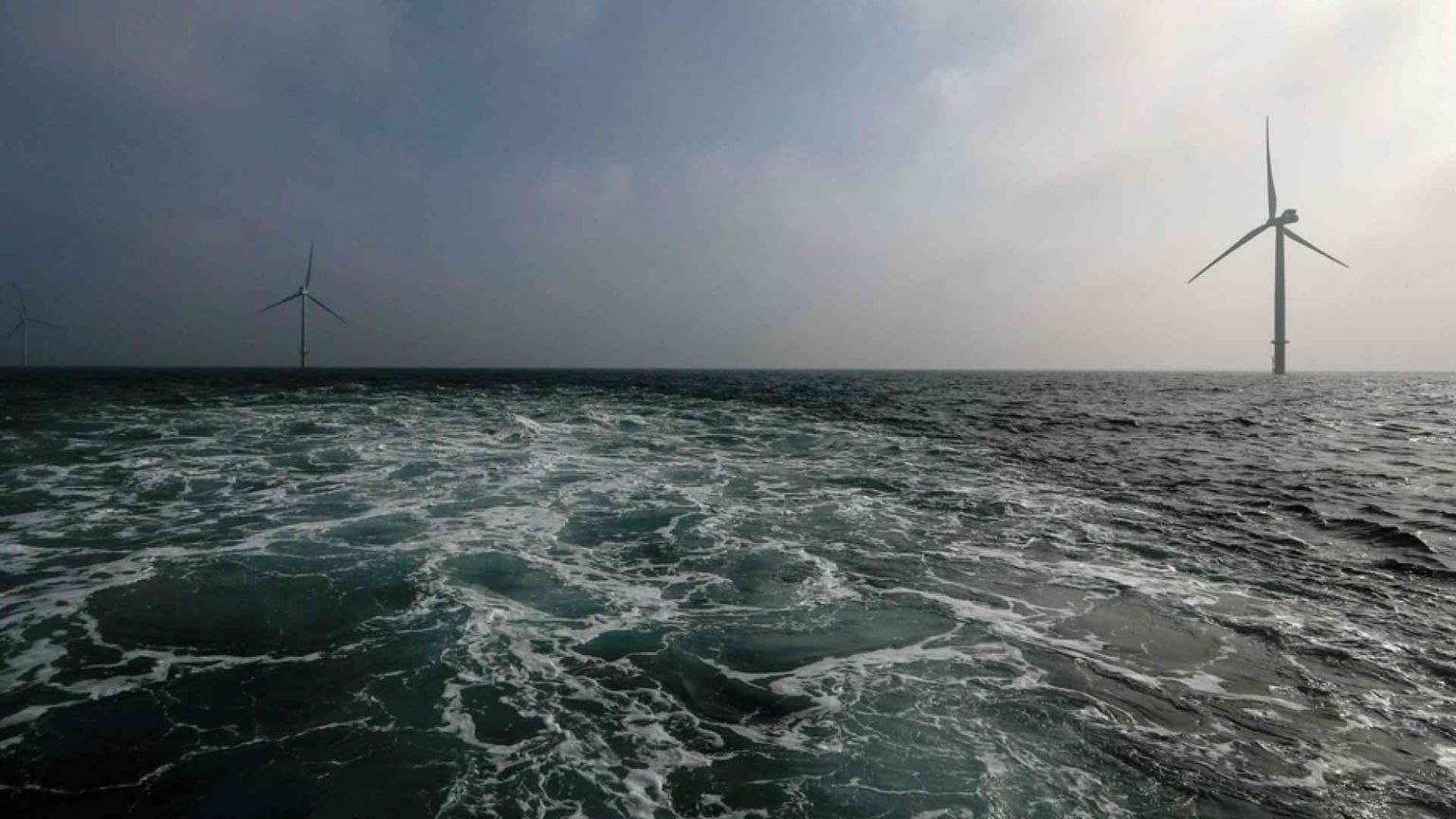 Gli ostacoli imprevisti dell'eolico: renne e pescatori fermano le pale