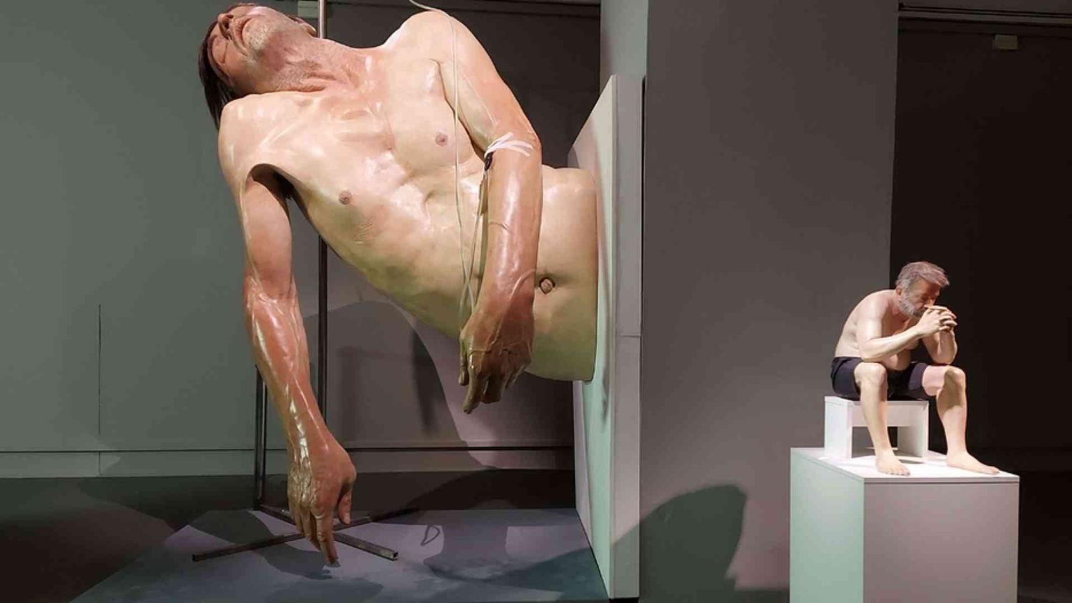 Chi ha rubato il corpo dell'arte?