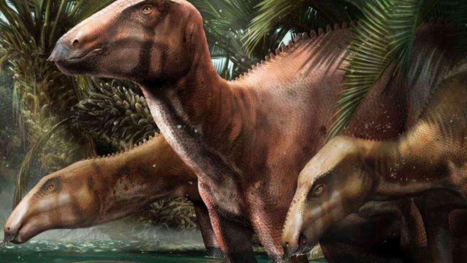 Dinosauri, scoperto il primo branco in Italia