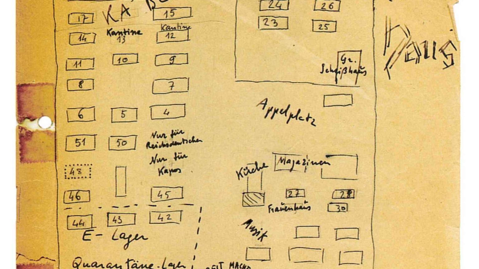 Il dilemma di Primo Levi fra ordine e caos