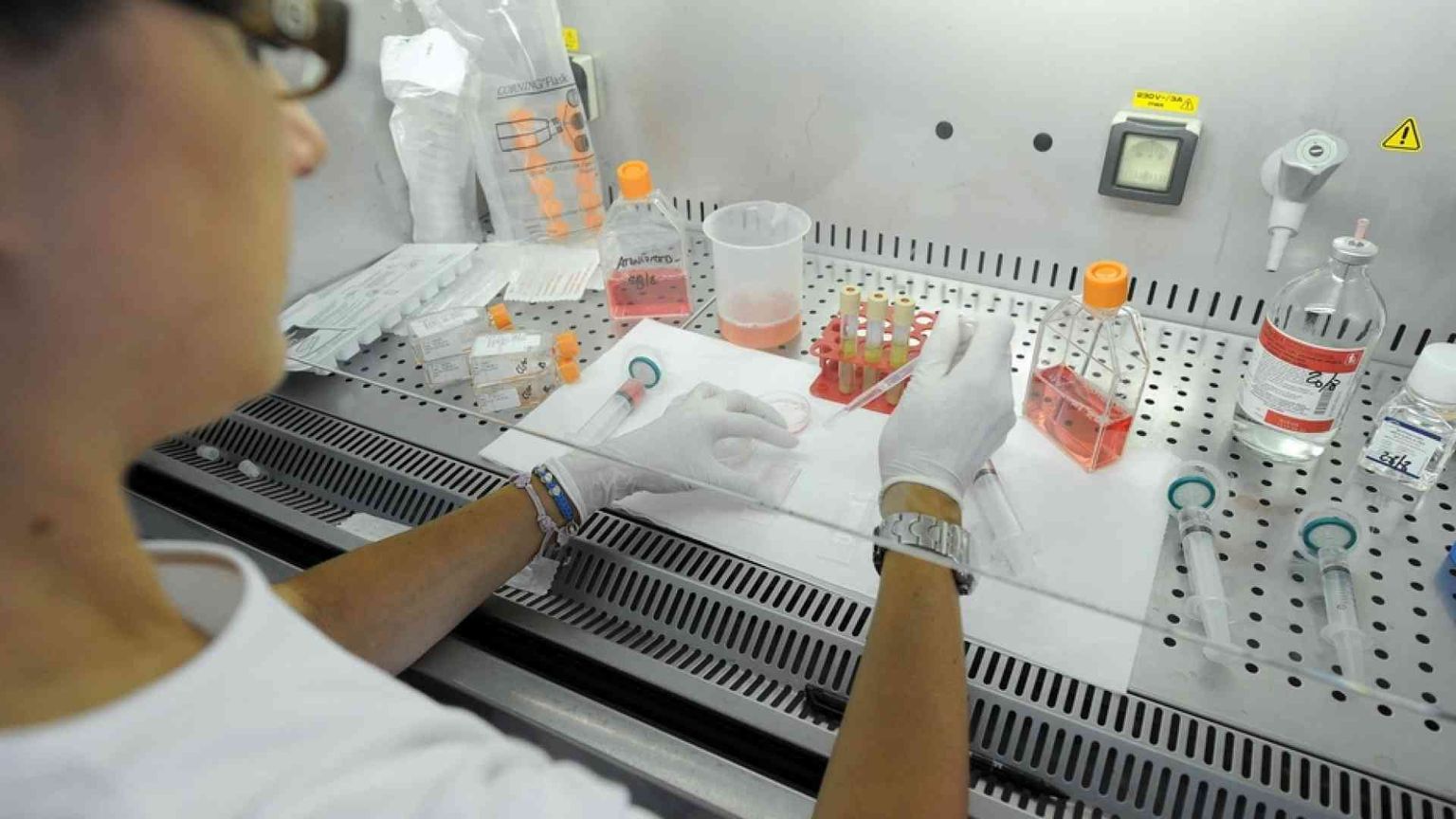 Nel 2045 la fine della fertilità umana? Un allarme trascurato