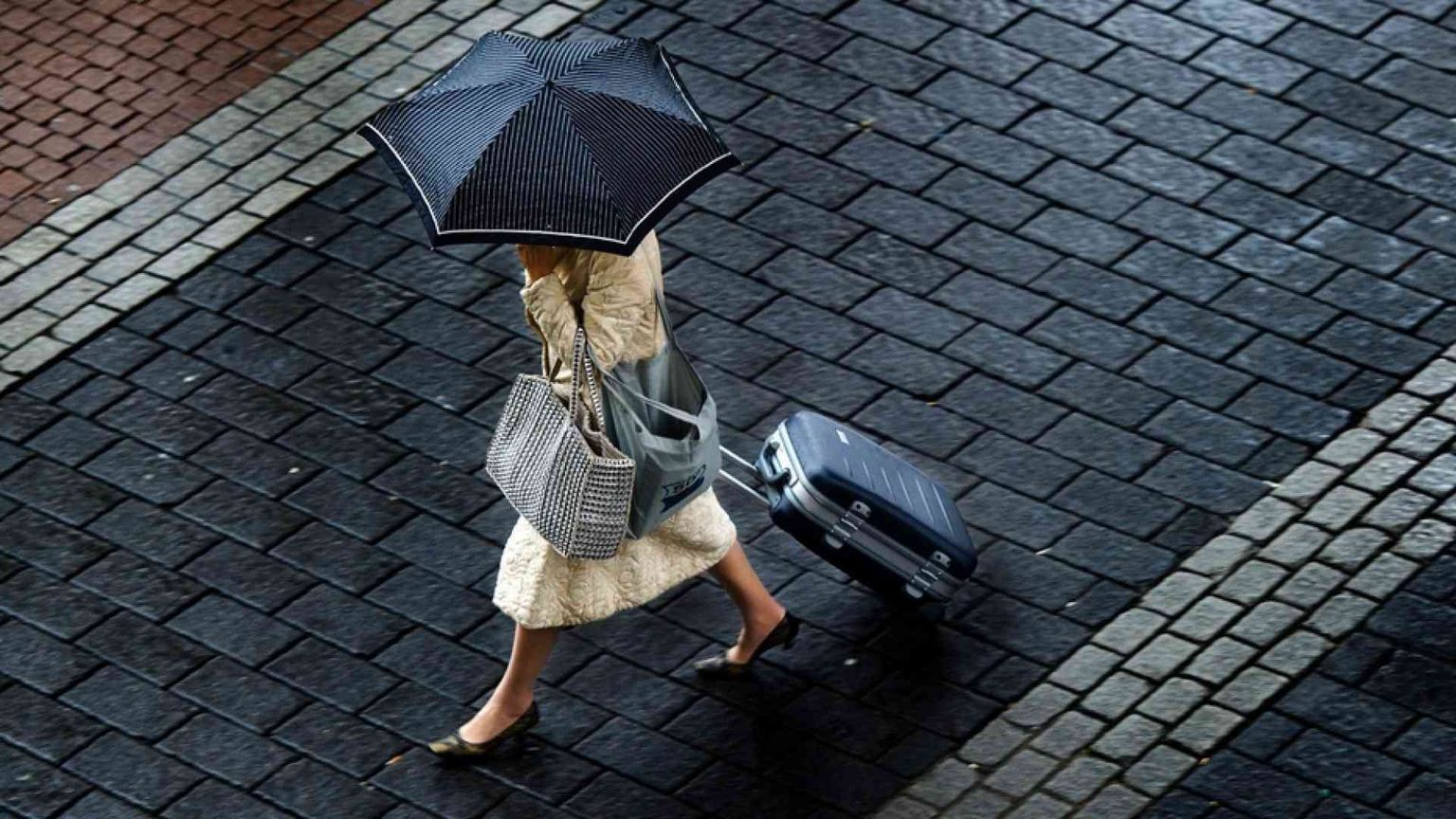 La sorprendente genealogia delle donne manager dall'Ottocento a oggi