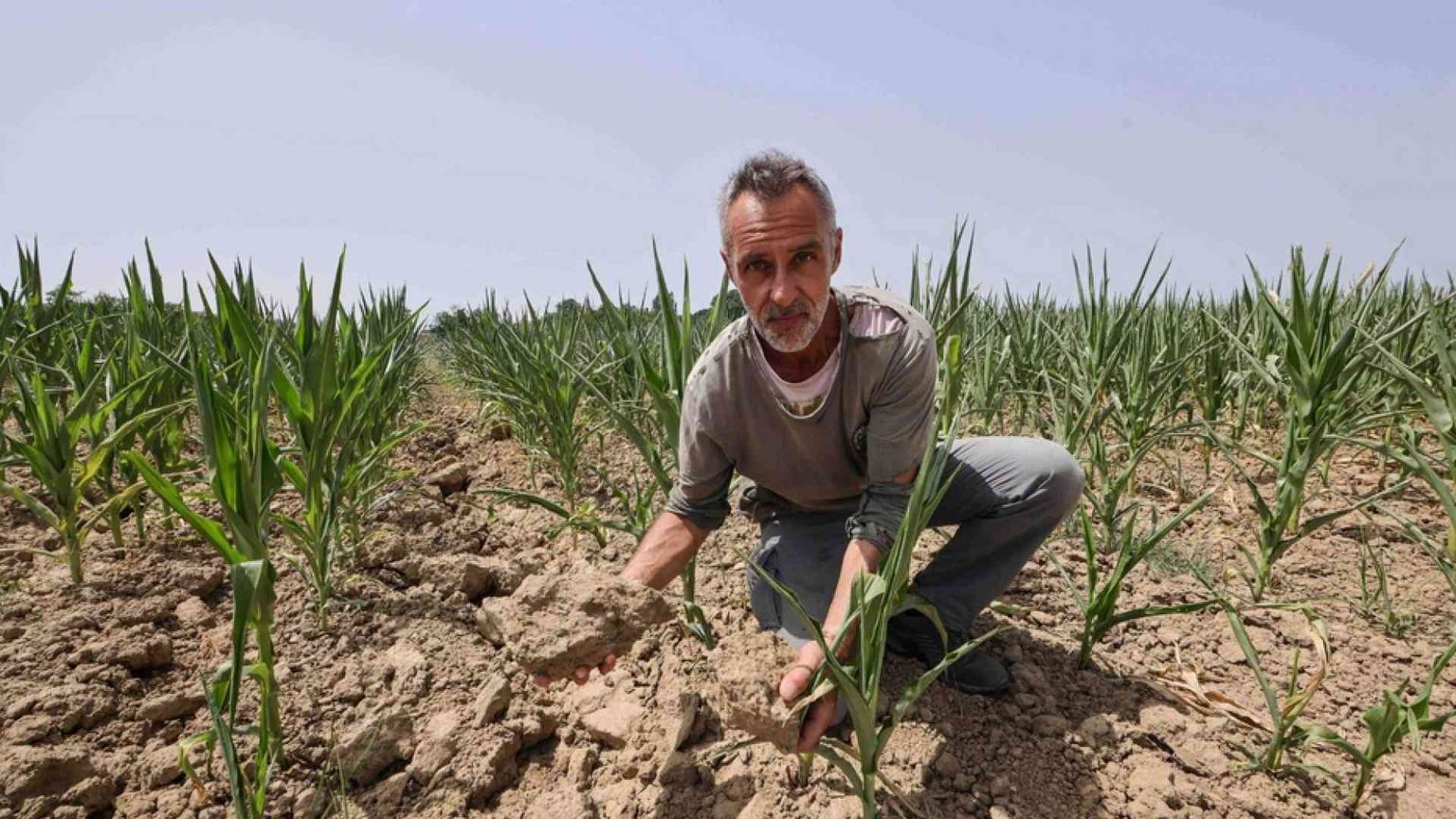 La terra è polvere, boom degli insetti. E il Grande Fiume è sempre più salato