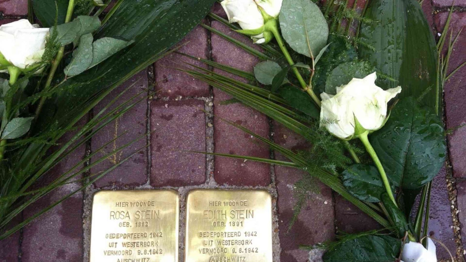 Czerny ad Auschwitz per Edith Stein: «Una vita trasfigurata dall’amore»