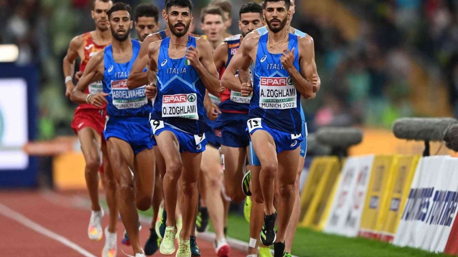 I gemelli Zoghlami, la siepe è azzurra