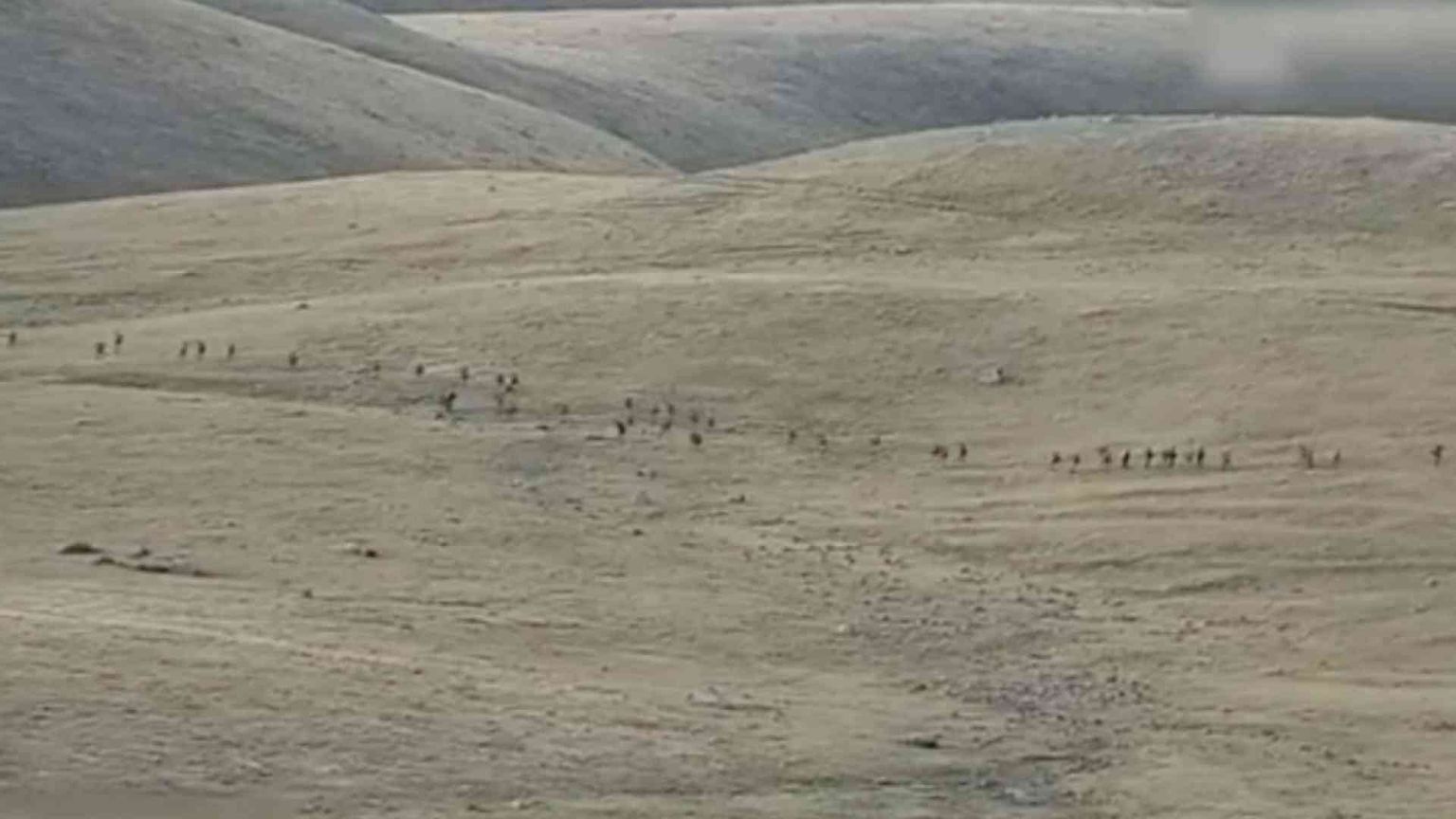 Scontri tra Armenia e Azerbaigian, cento morti. L'escalation e gli interessi