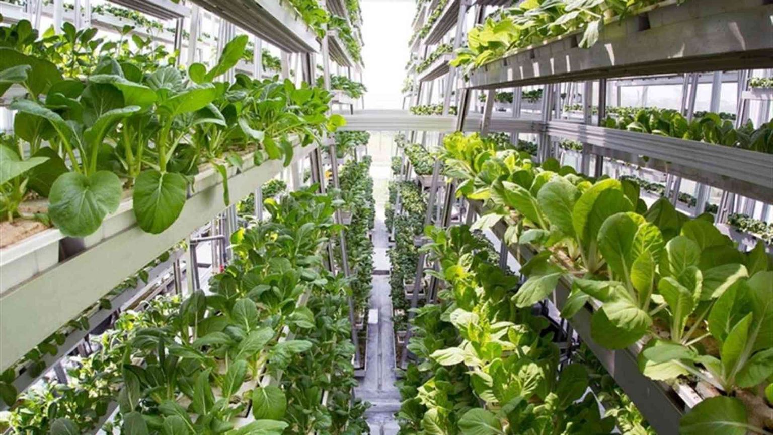 Un futuro in salita, ma export e bio battono la crisi