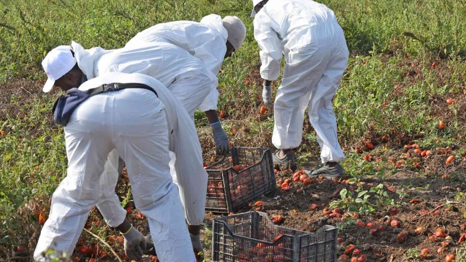 Contro lo sfruttamento del lavoro serve anche l'aiuto dei consumatori