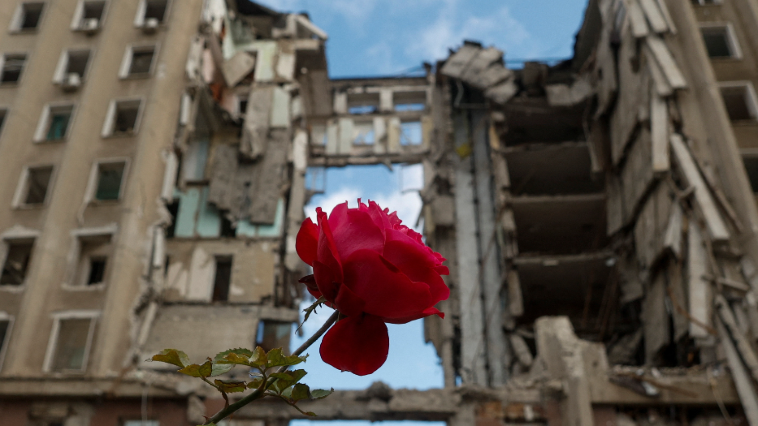 Le donne leader si impegnino per la tregua immediata in Ucraina