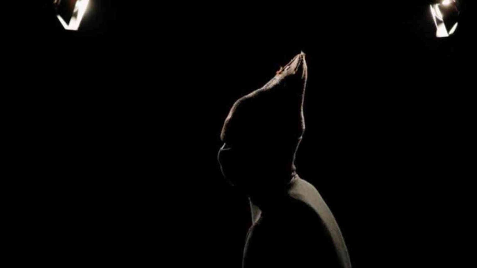 La guerra segreta dell’esercito: migliaia di donne costrette ad abortire