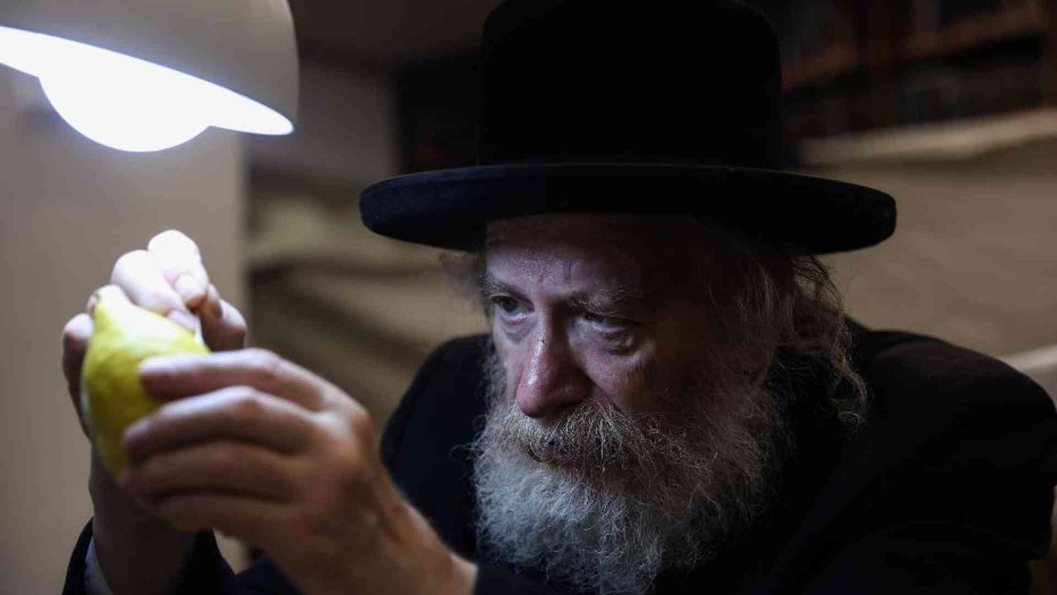 Nelle capanne di Sukkot la bellezza abita la precarietà