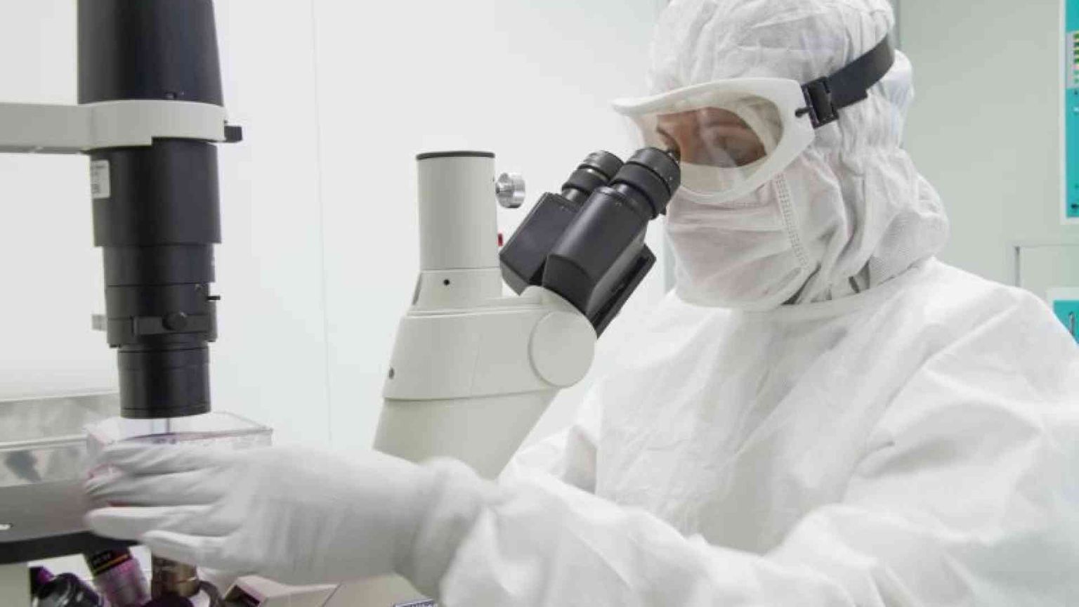 Leucemia, nuove speranze da una terapia italiana