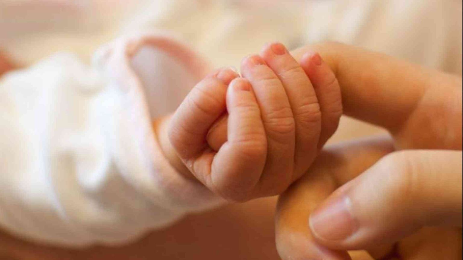 Cav e Mpv: donne alleate delle donne per la vita, i diritti, l'inclusione