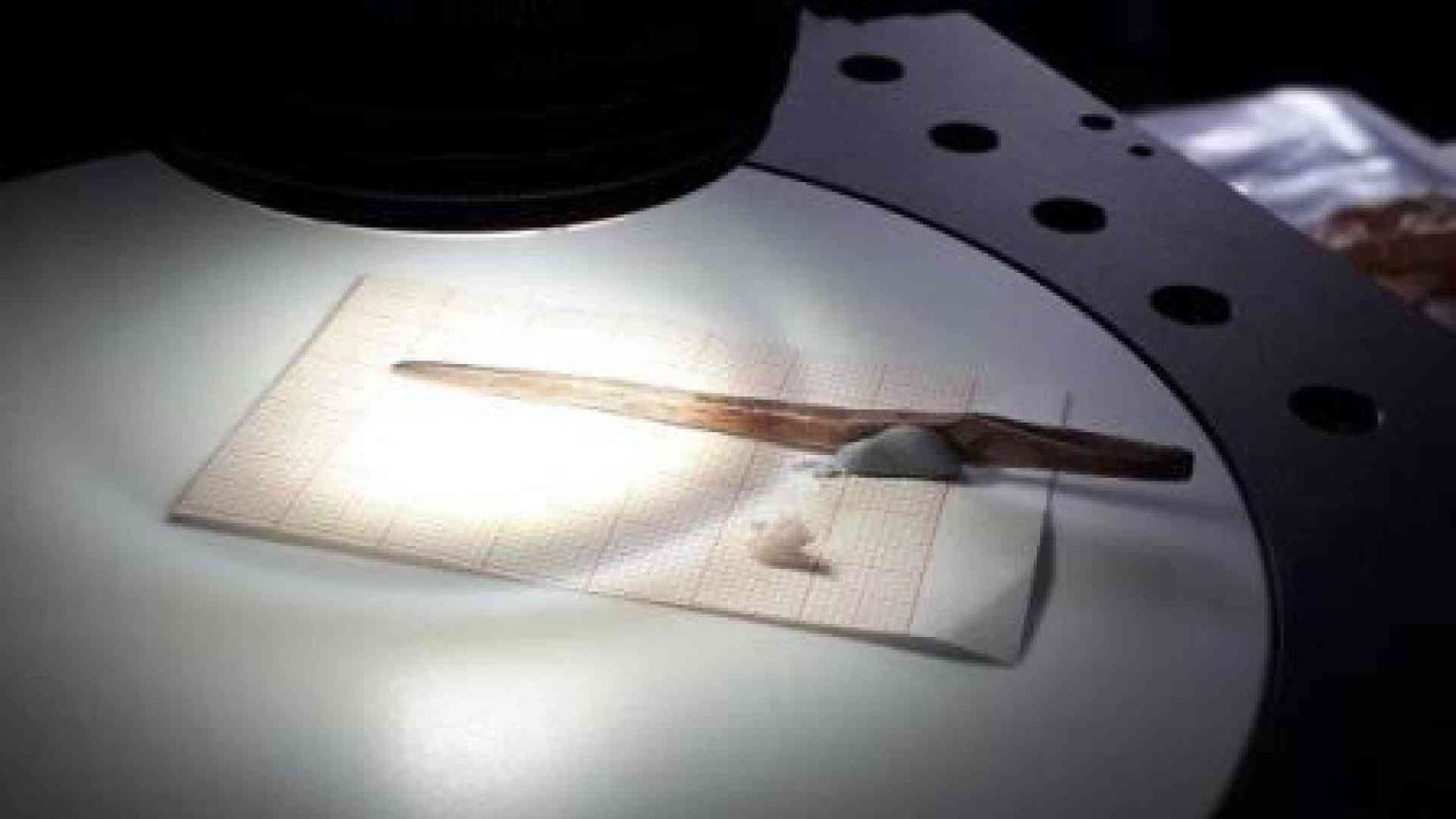 A spasso con Ötzi il tatuato: un'indagine sulla preistoria