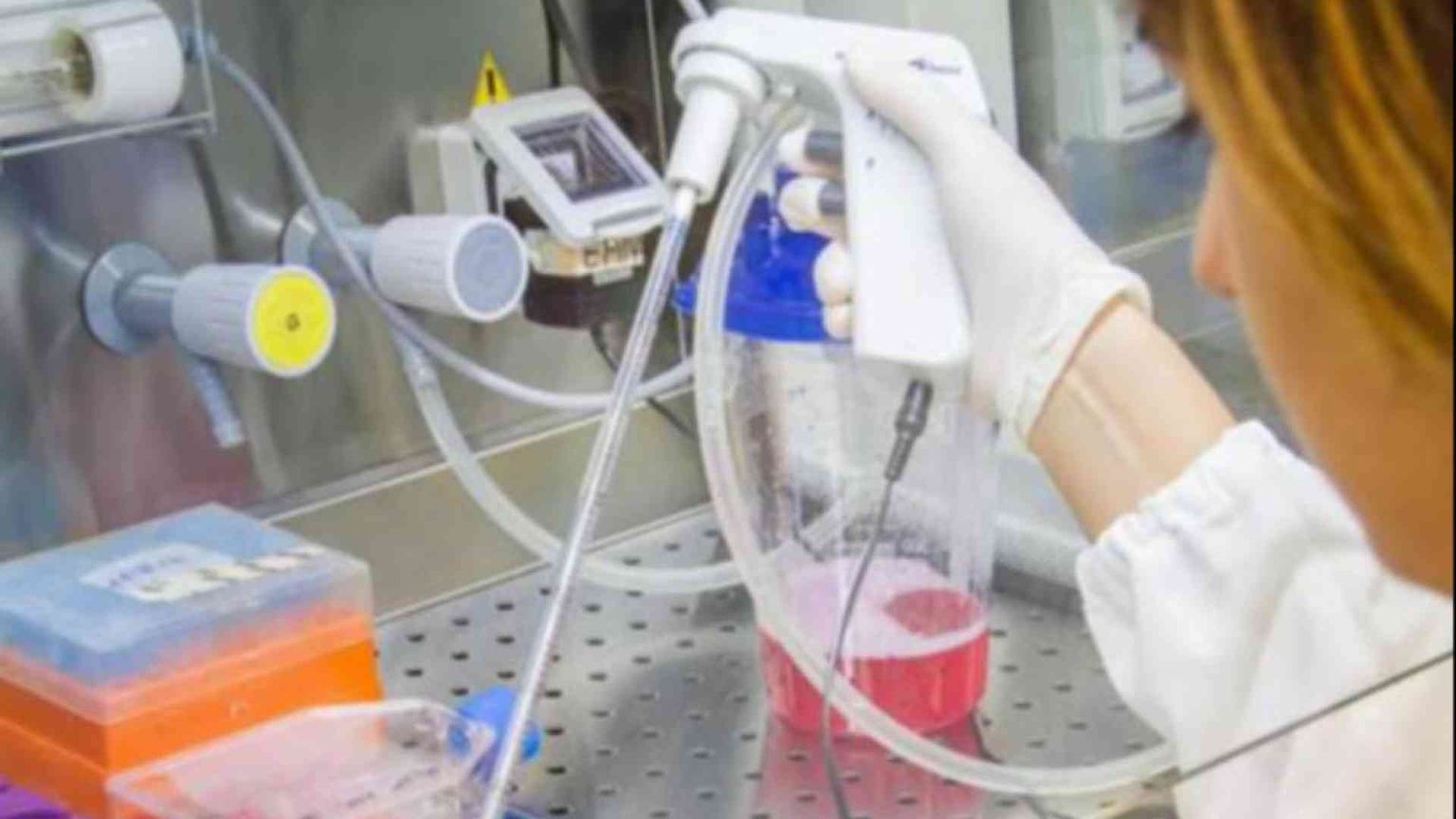 Cancro, è l’ora dei vaccini terapeutici. «Nel 2024 i test contro il melanoma»