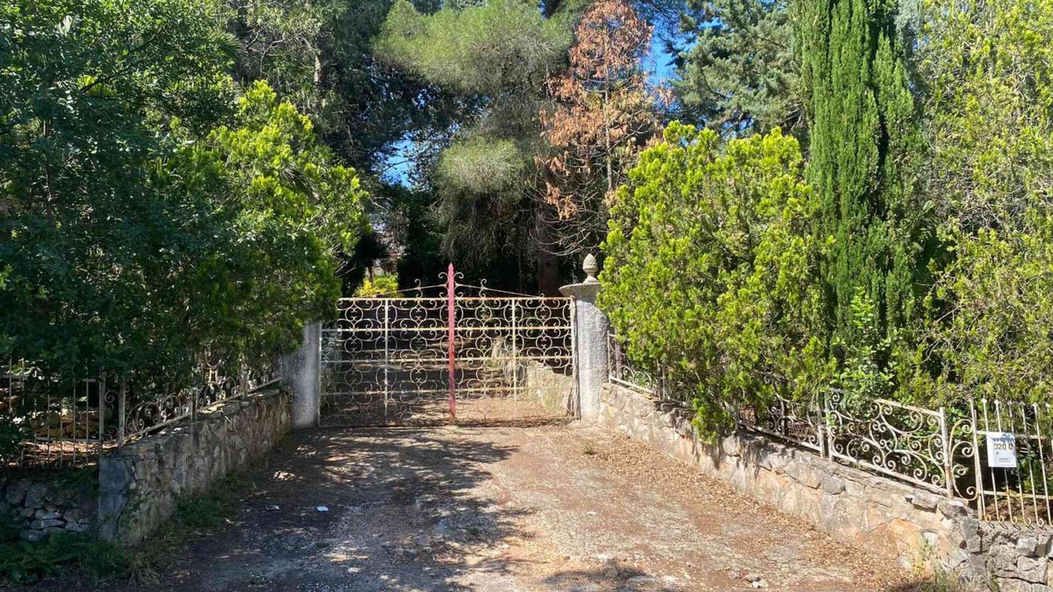 Padre investe la figlia di 54 anni e la uccide: fermato per omicidio